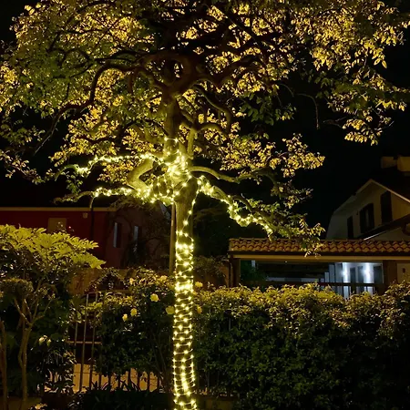 L'angolo * Moncalieri